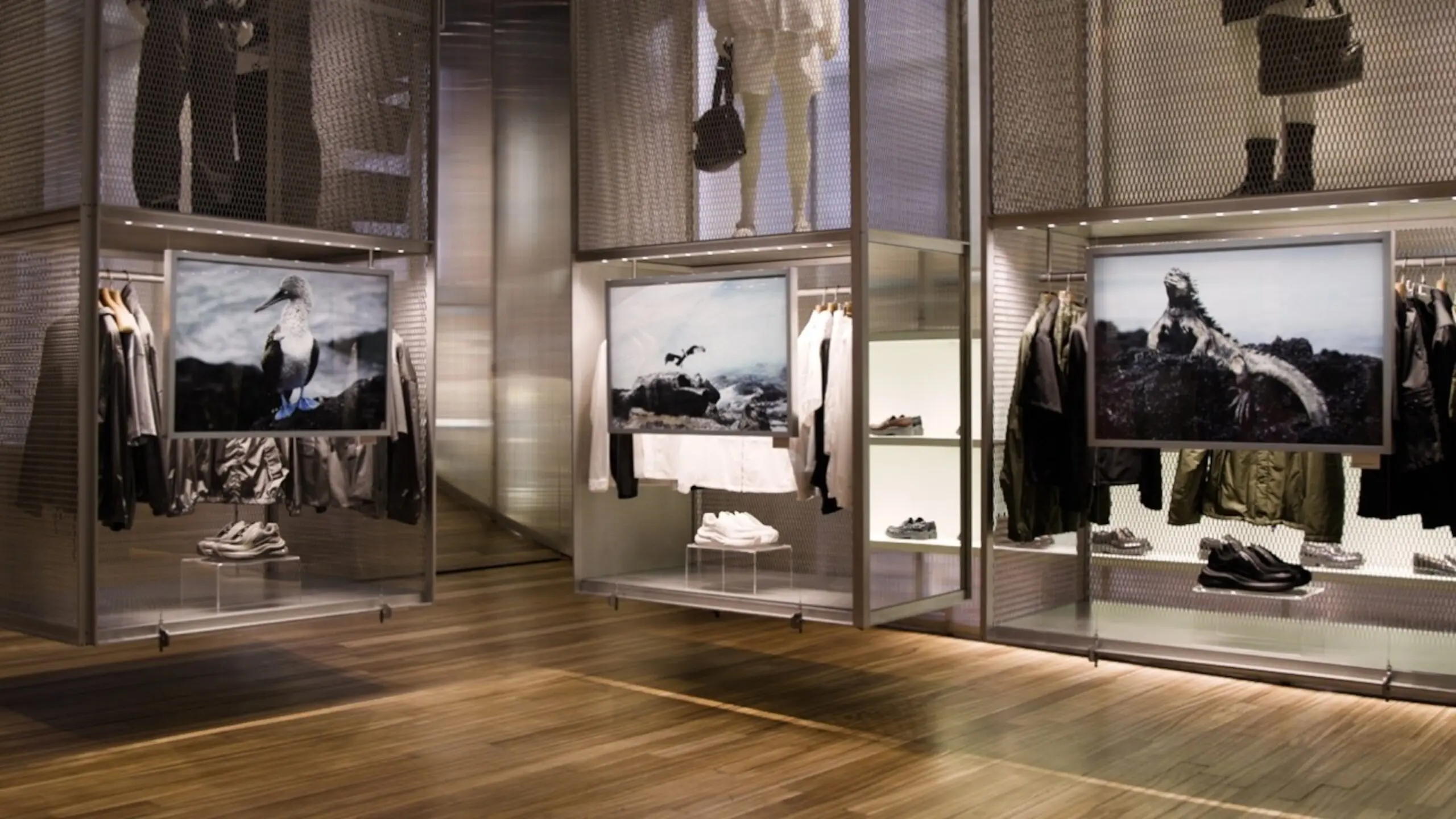 PHOTO: Images that former fashion photographer Enzo Barracco took in Antarctica and the Galapagos Island are displayed among the merchandise at Prada's New York flagship in Manhattan's Soho neighborhood.