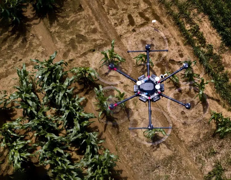 Drones in Agriculture