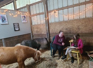Happy Hooves Wellness in Dexter Fosters Mental Health with Gentle Giants – The Sun Times News