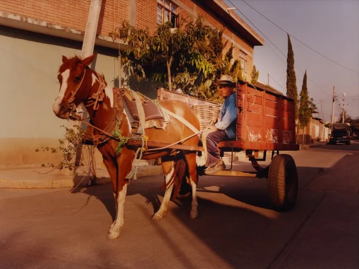 A wagon in San Juan Guelavía