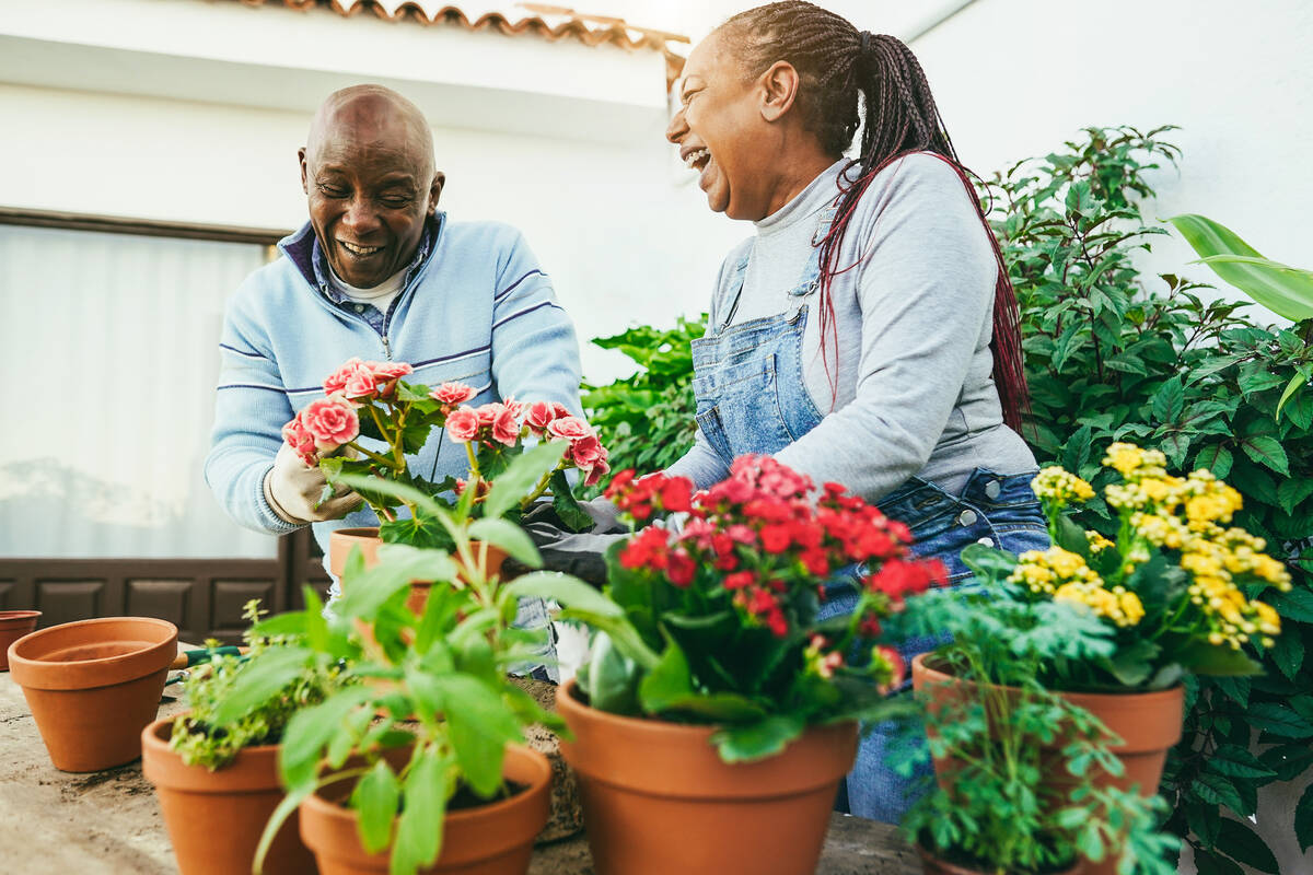 How hobbies play an essential role in health and wellness