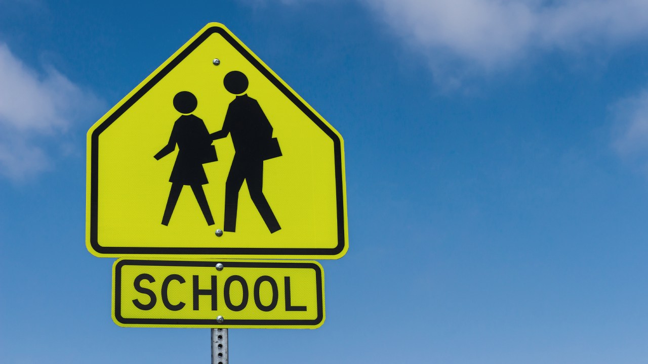 Florida elementary school student struck, killed by car on her way to school