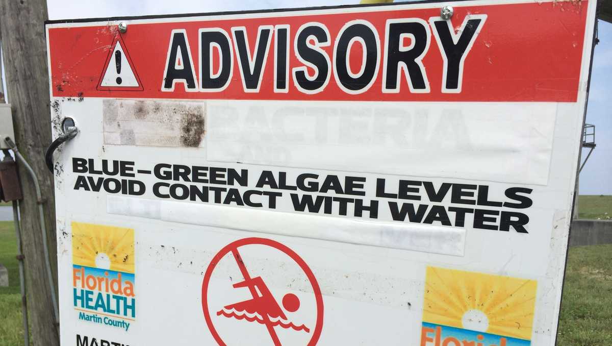 Blue-green algae health alert issued for Lake Okeechobee in Martin County
