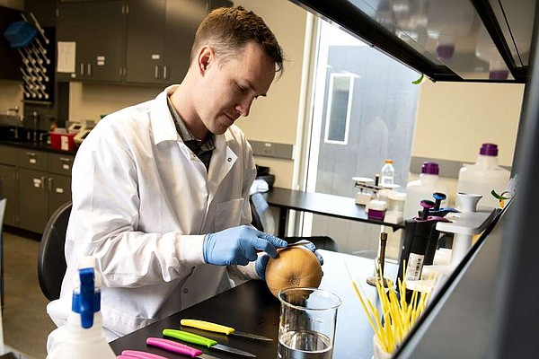 Grant awarded to study microwave technology to destroy weeds