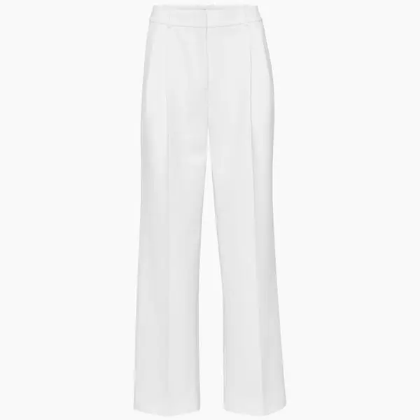 Aritzia Pleated Pant