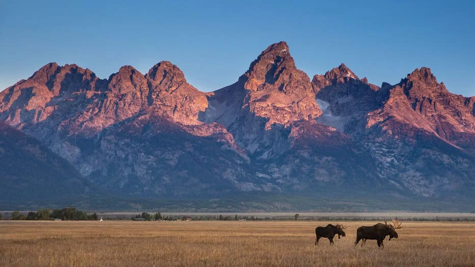 Jackson Hole Wyoming