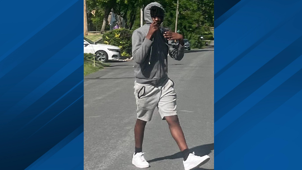 East Greenbush Police seek footage, suspects in overnight car theft