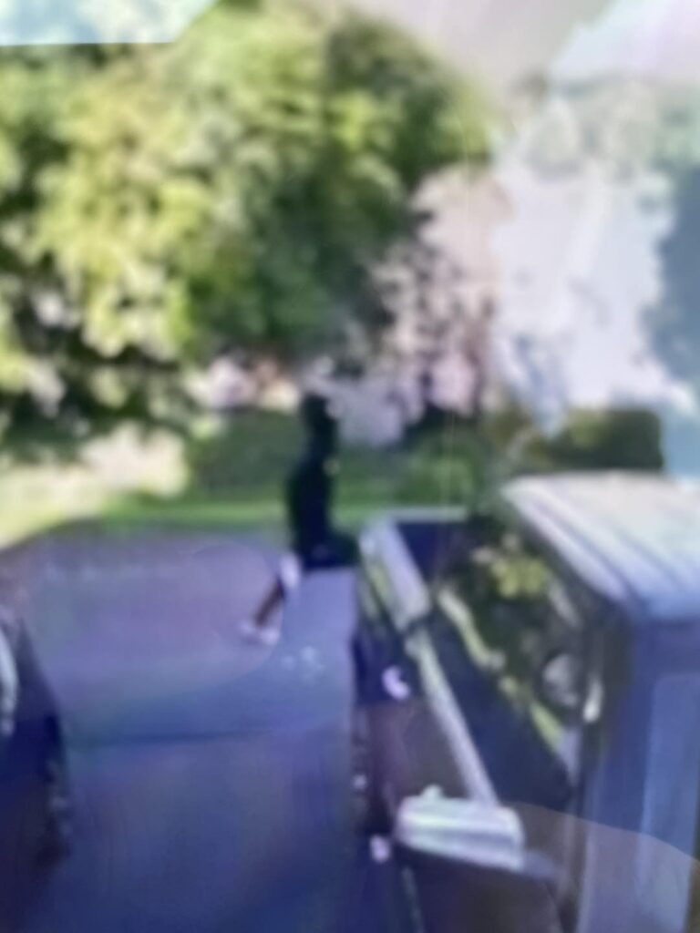 East Greenbush Police looking for suspects related to car theft