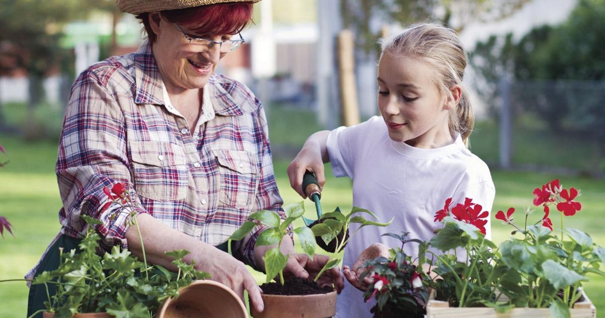 EYESTONE | The ‘us factor’ in the health of our gardens