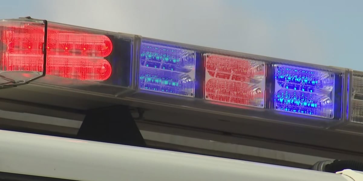 Deforest man arrested after fleeing police, crashing car