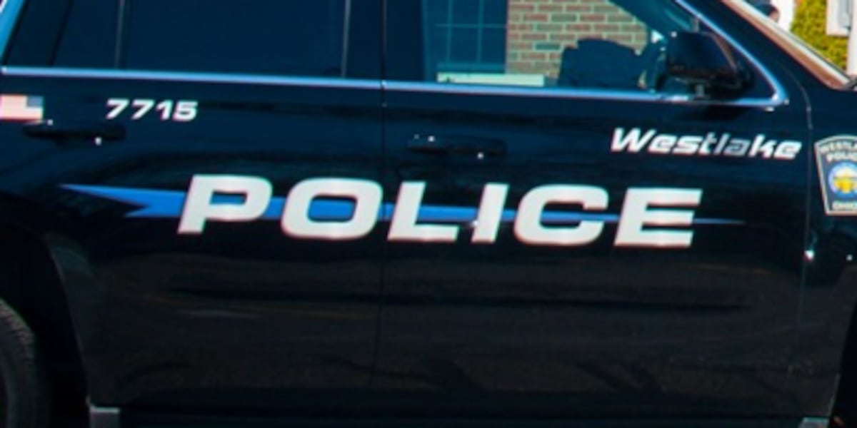 Westlake mom charged after young kids left alone in hot car