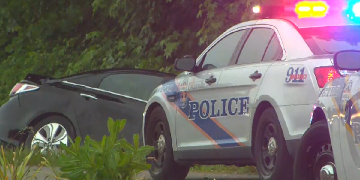 Good Samaritan assists man shot in car in a ditch unaware of alleged carjacking earlier