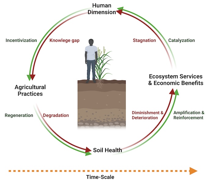 What is the Soil Health Cycle?