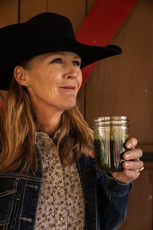 Superfood powder aims to provide whole food nutrition