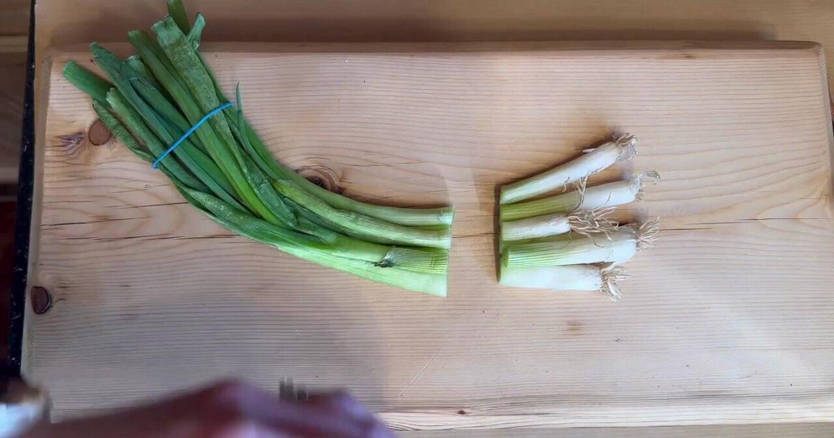 Grow From Food Scraps