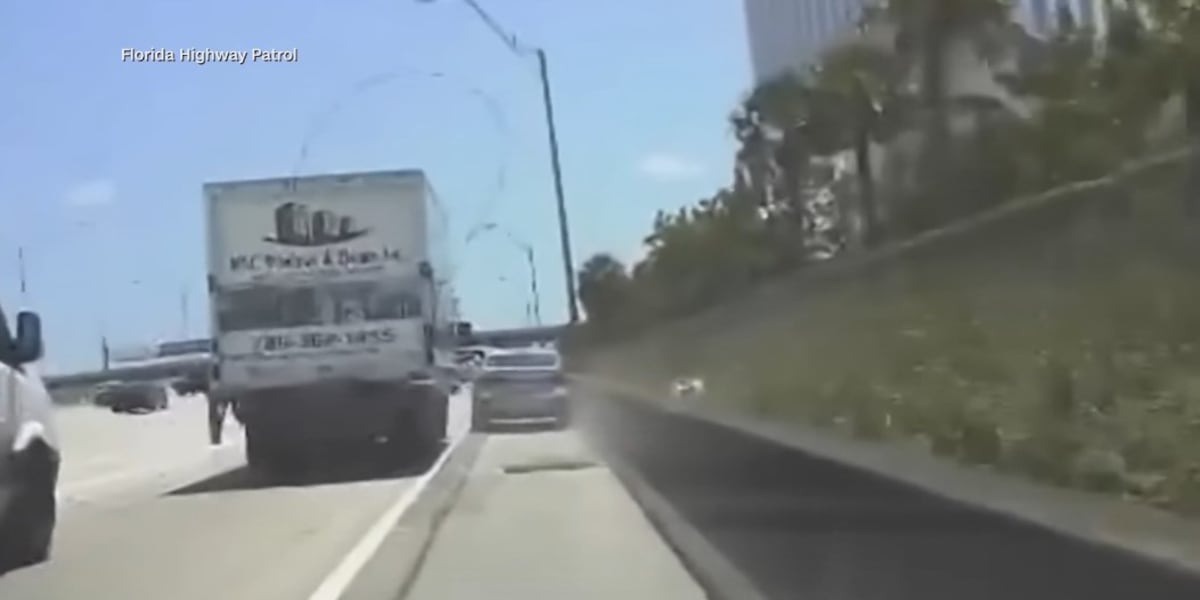 Suspect steals new car during test drive, leads police on high-speed chase