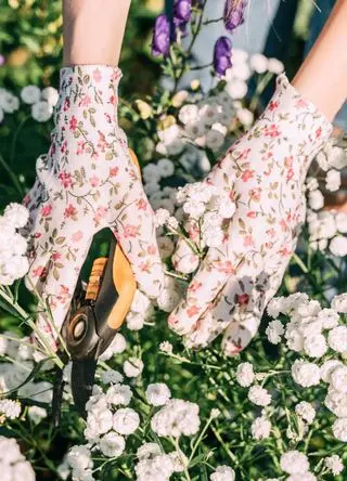 A woman trims plants with shears