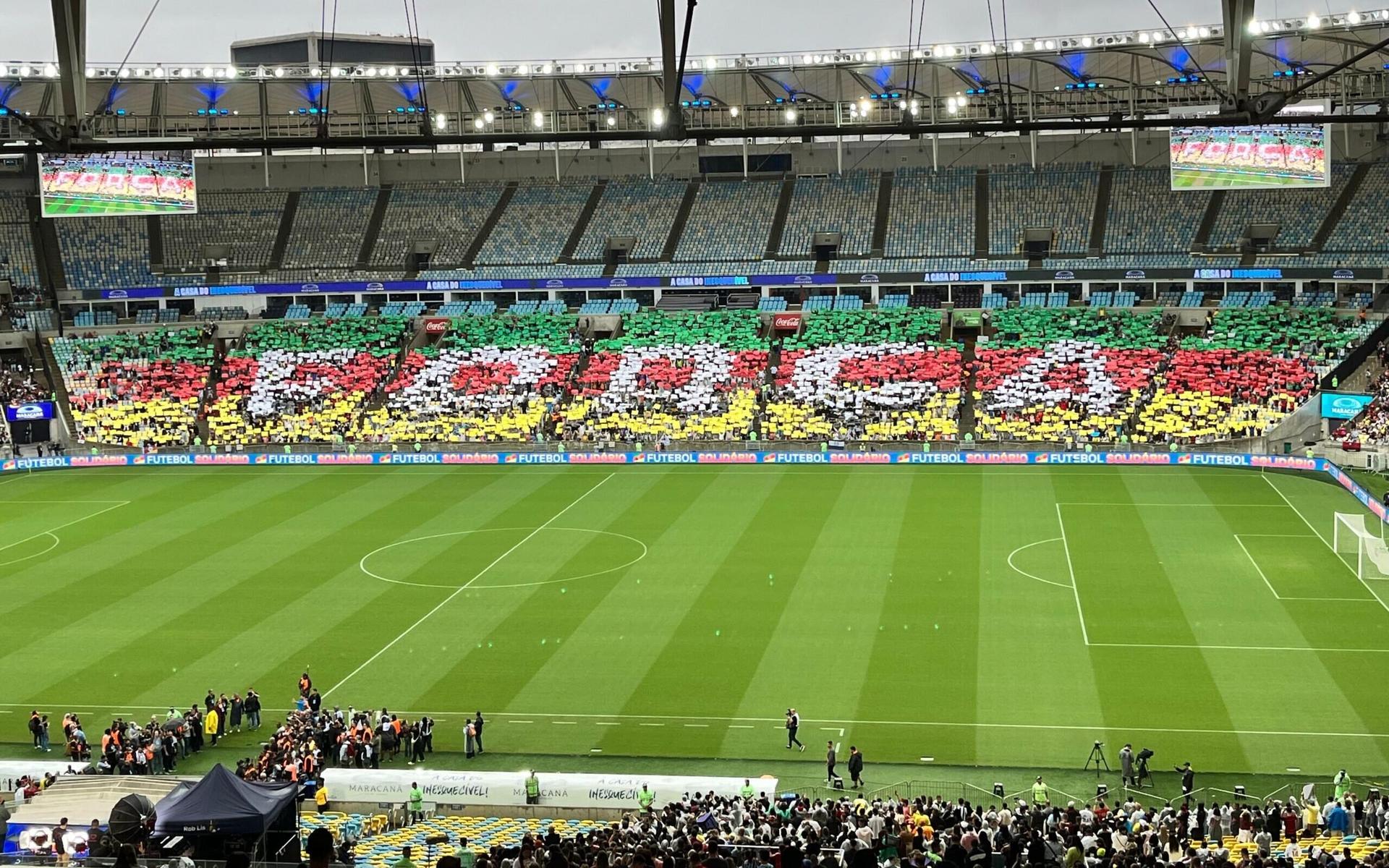 Torcida do Botafogo foi responsável por mosaico do Futebol Solidário