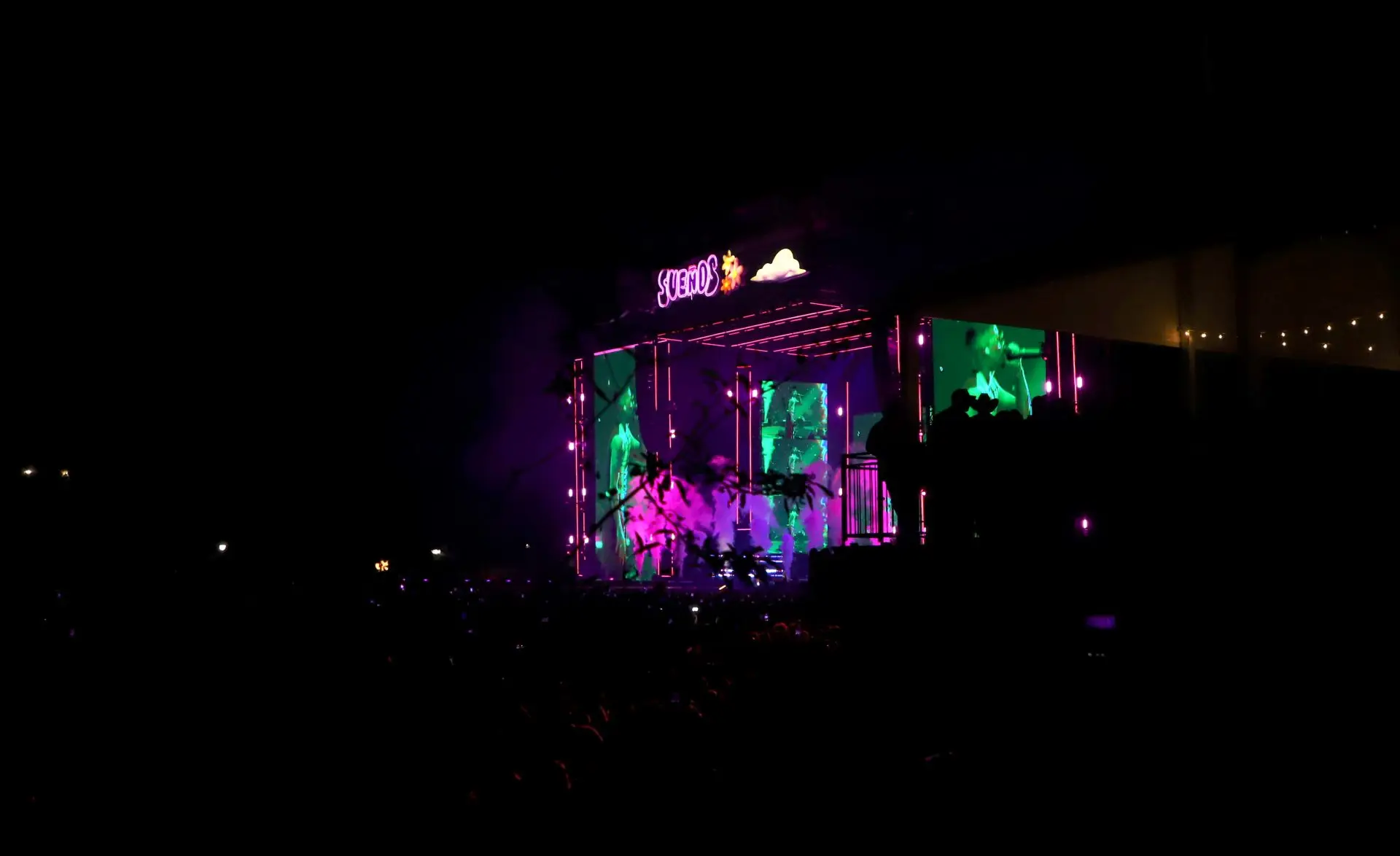Photo+Gallery%3A+Latino+pride+stands+strong+at+the+Sue%C3%B1os+Music+Festival