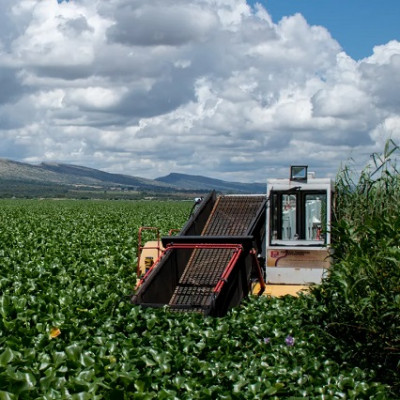 Hope for Hartbeespoort Dam Water Quality as New ‘Nanobubble’ Technology Starts to Bite