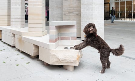 May design news: a car that runs on plastic, food art and the history of the Paralympic Games