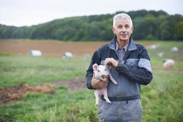 farmer pig Peter Muller