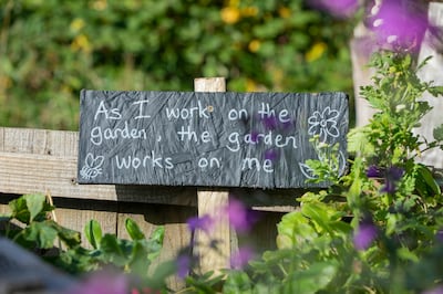 Mental health benefits bloom with gardening, as study prescribes ecotherapy for loneliness