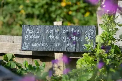 Feeling at one with other living things goes a long way towards improving emotional well-being. Photo: Mike Erskine / Unsplash