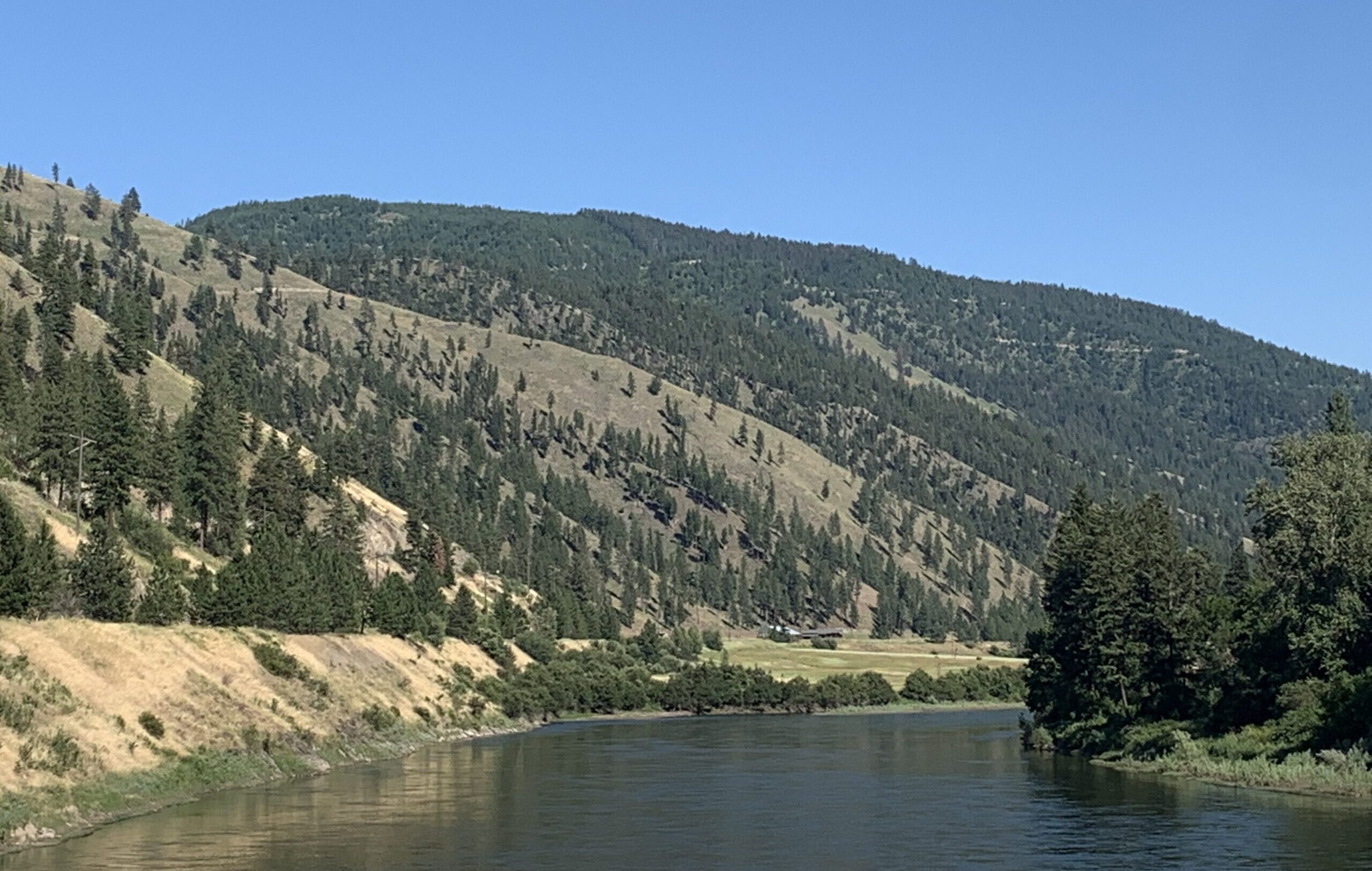 New data raises more questions about health of Clark Fork fishery