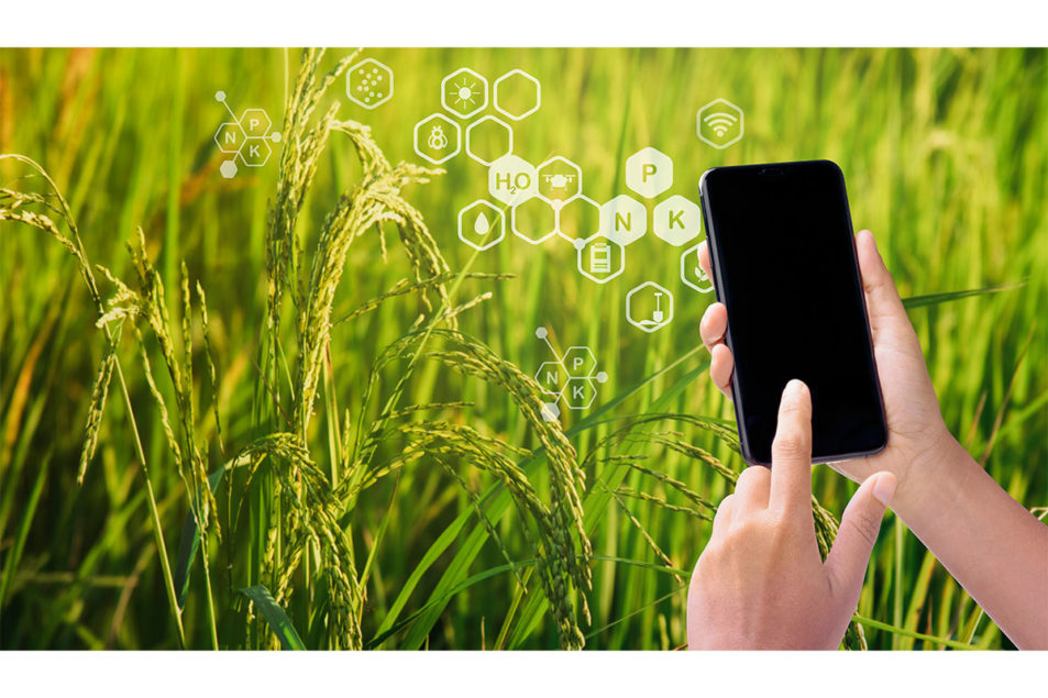 Finding a way to get food traceability right