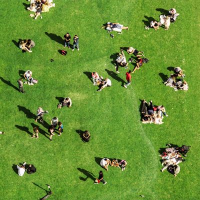 How to Curate the Perfect Summer Playlist