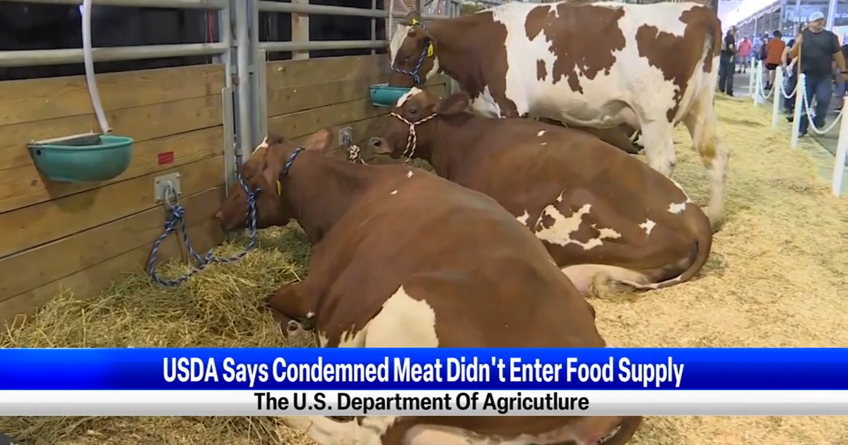 USDA says condemned meat did not enter food supply