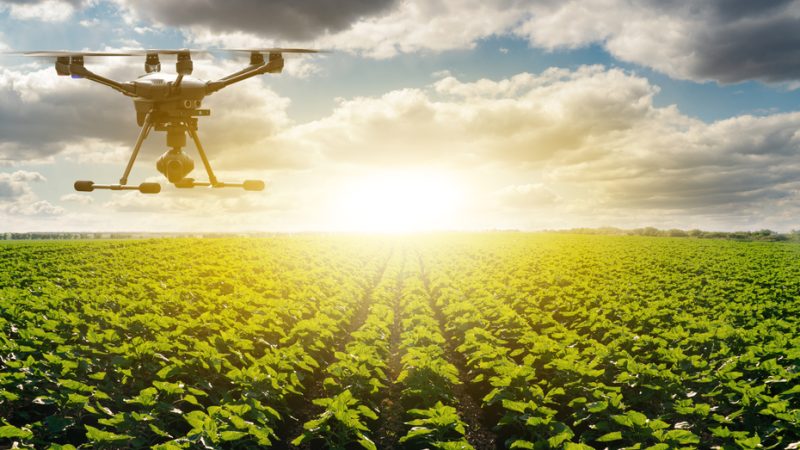 Agriculture’s quiet digital innovation revolution, CtrlPlantRepeat