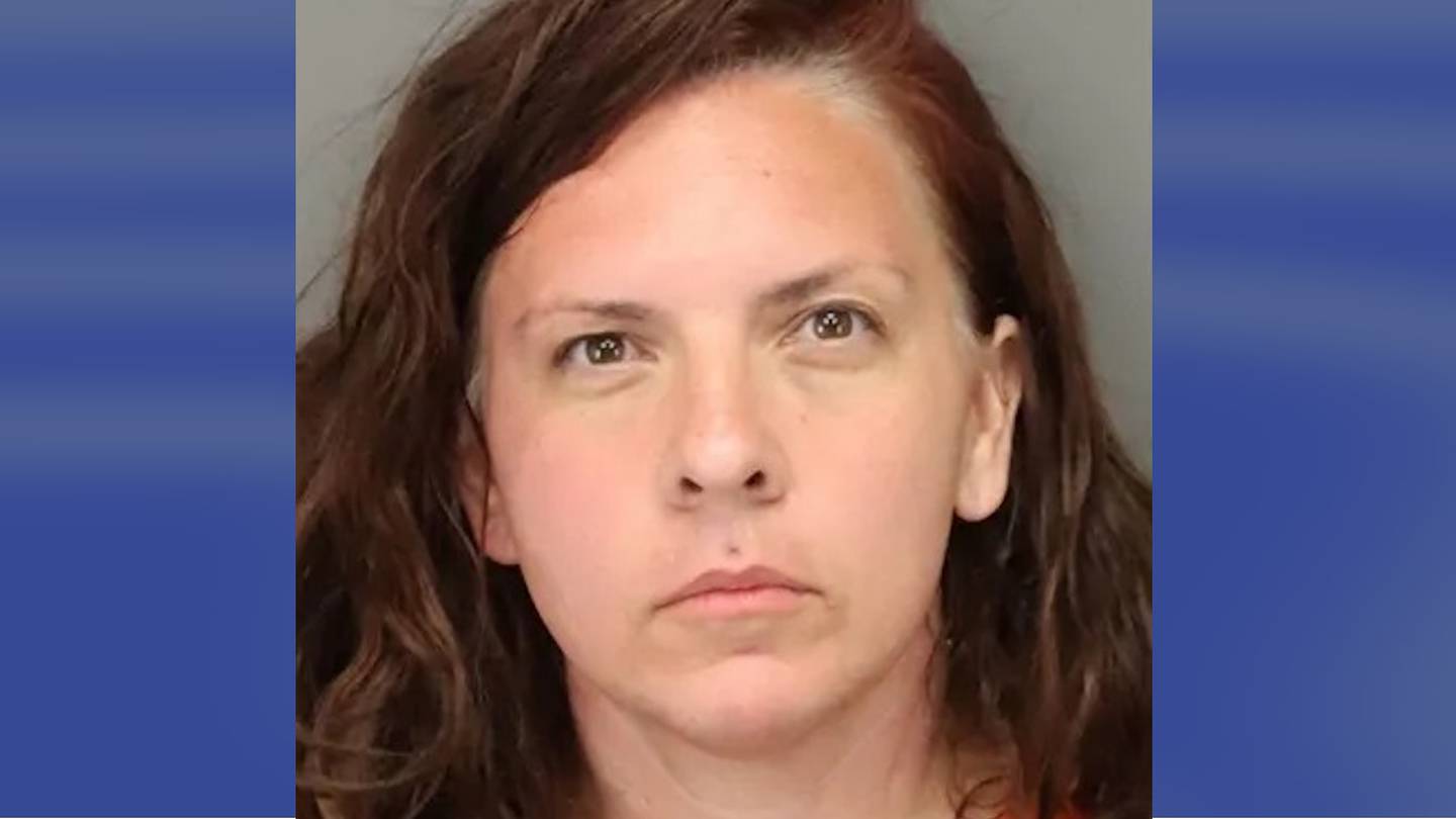 Woman accused of leaving dog in hot car while visiting Florida beach