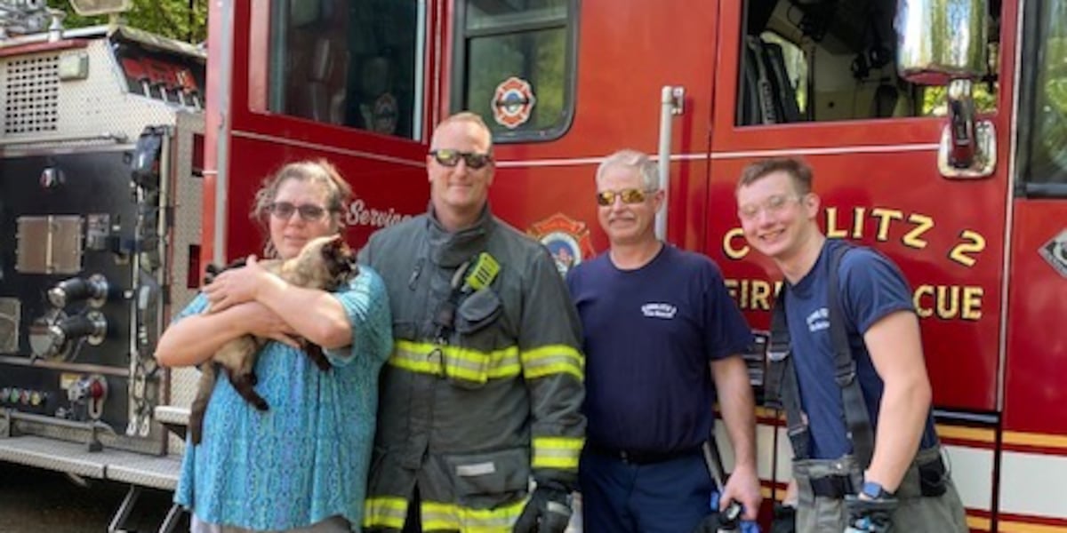 Cat rescued from spare car wheel in Cowlitz County