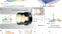 All-optical complex field imaging using diffractive processors