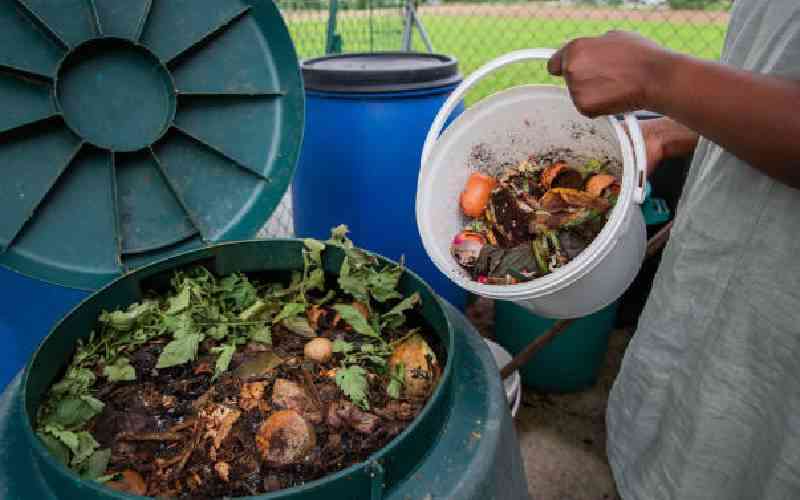 Lessons from Ongata Rongai on environmental conservation