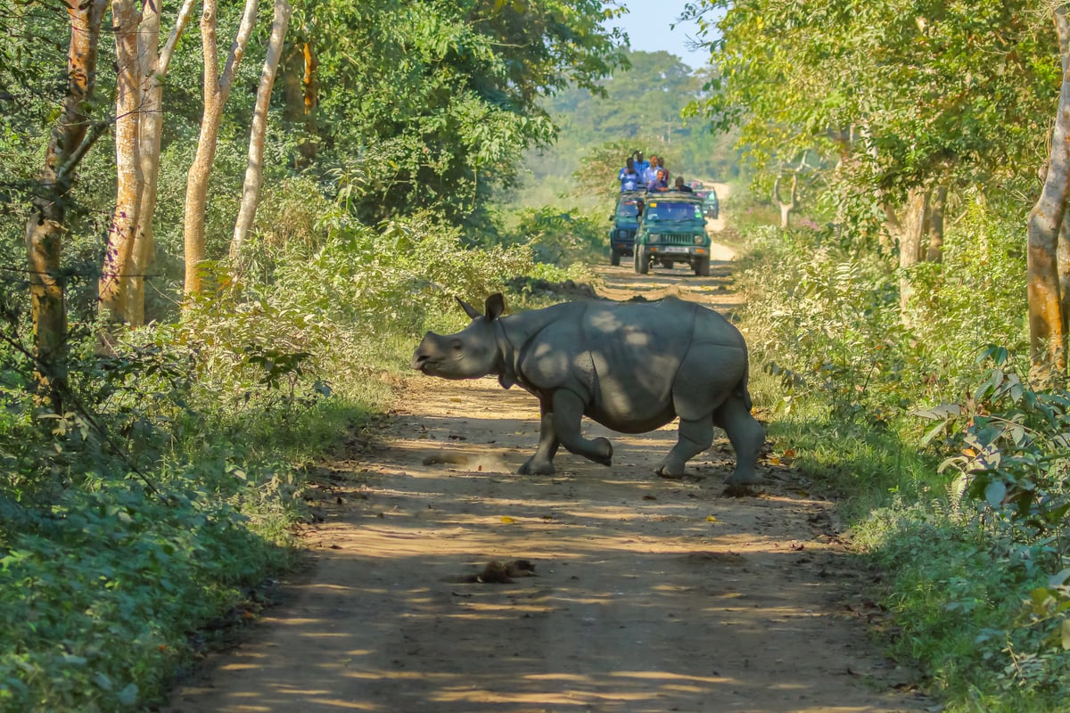 World Environment Day: Conservation Stories From India You Must Not Miss