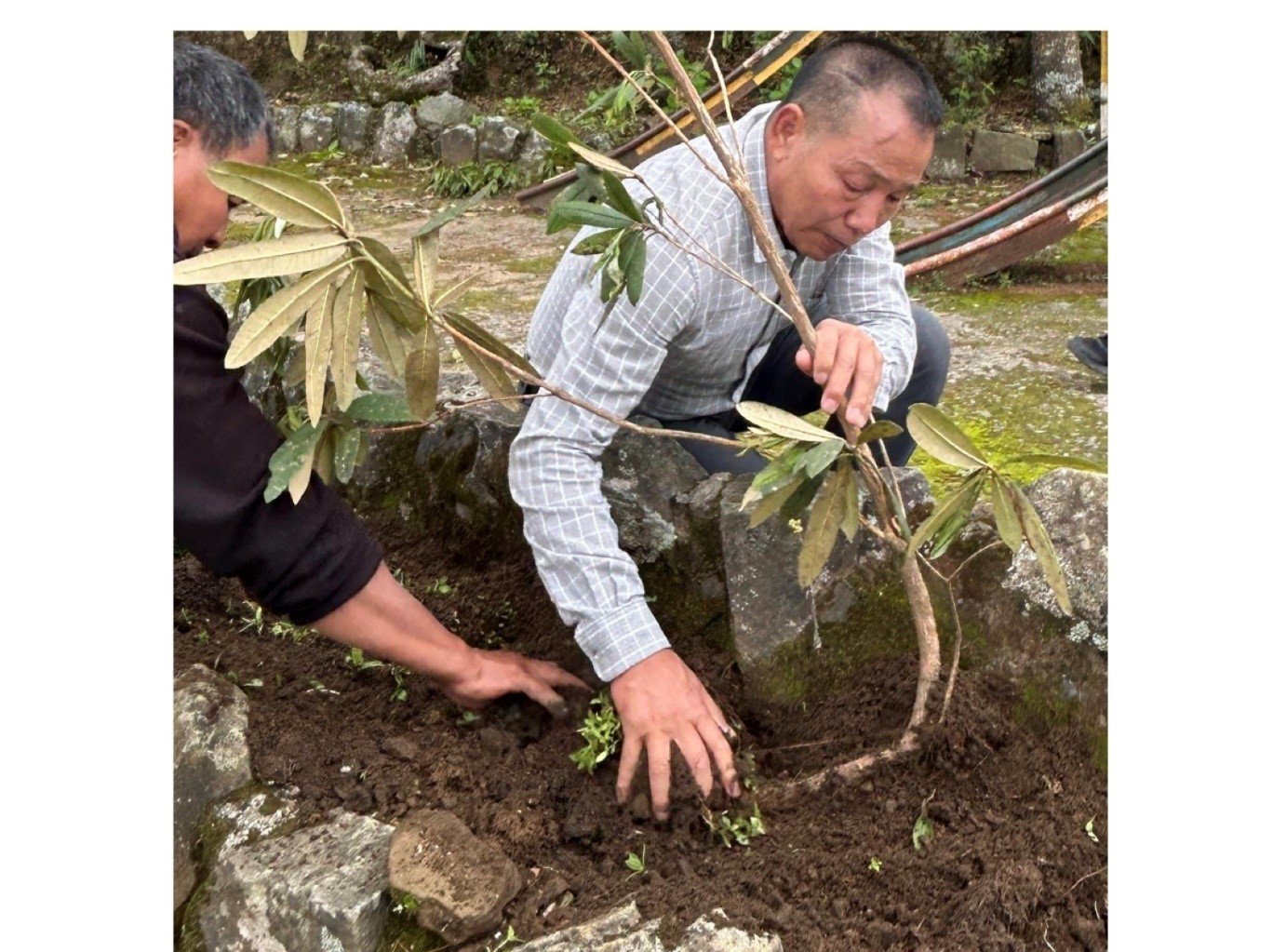 NCCAF and Mt. Pauna Biodiversity Conservation Forum celebrate World Environment Day in Benreu Village