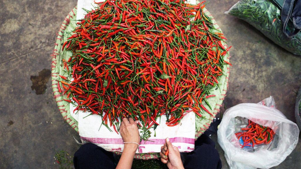 Obesity: Does eating chili peppers increase or decrease risk?
