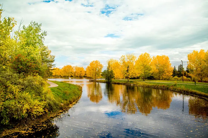 Photo of a creek in Red Deer