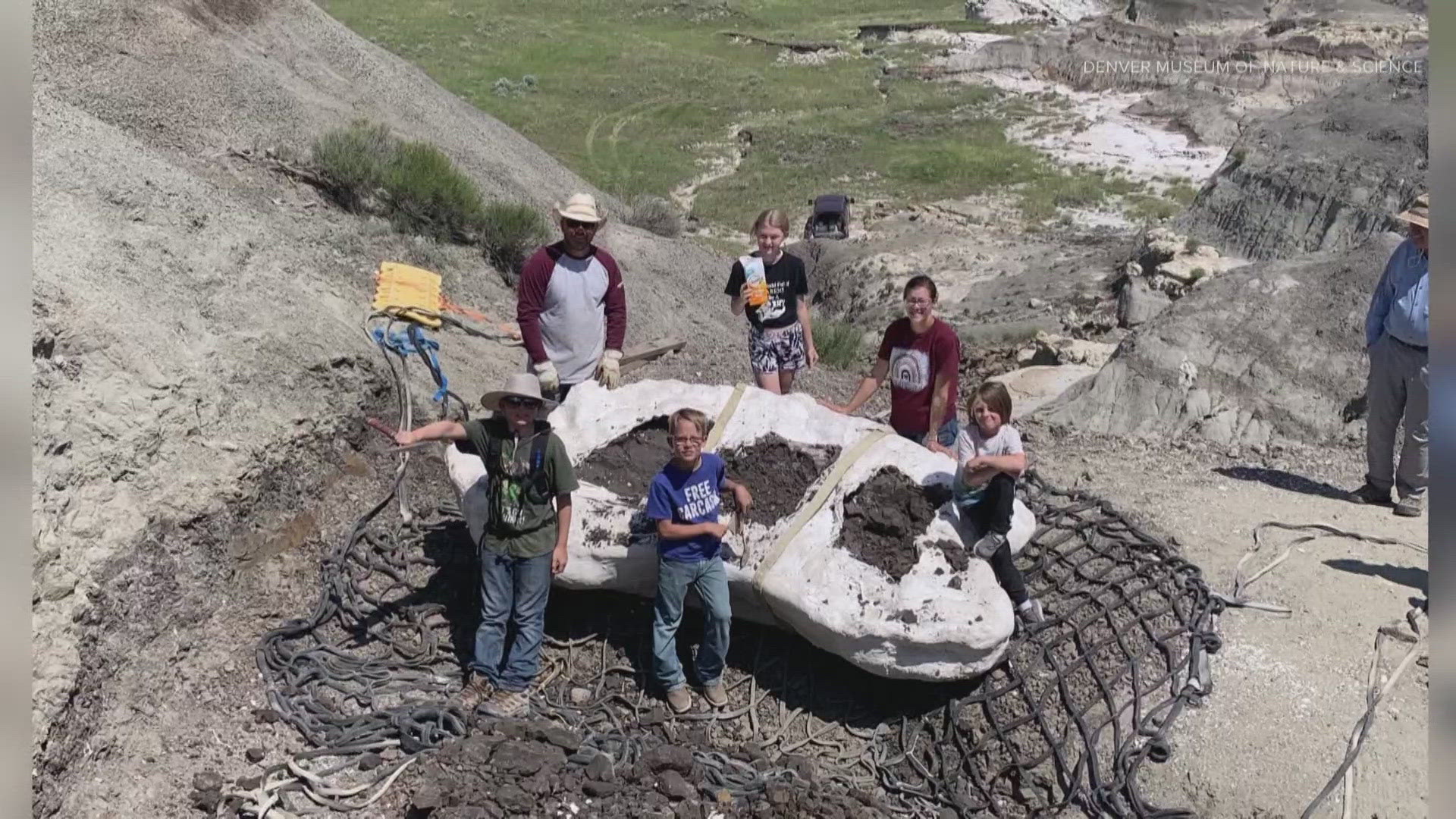 ‘Teen Rex’ now on display at Denver Museum of Nature and Science