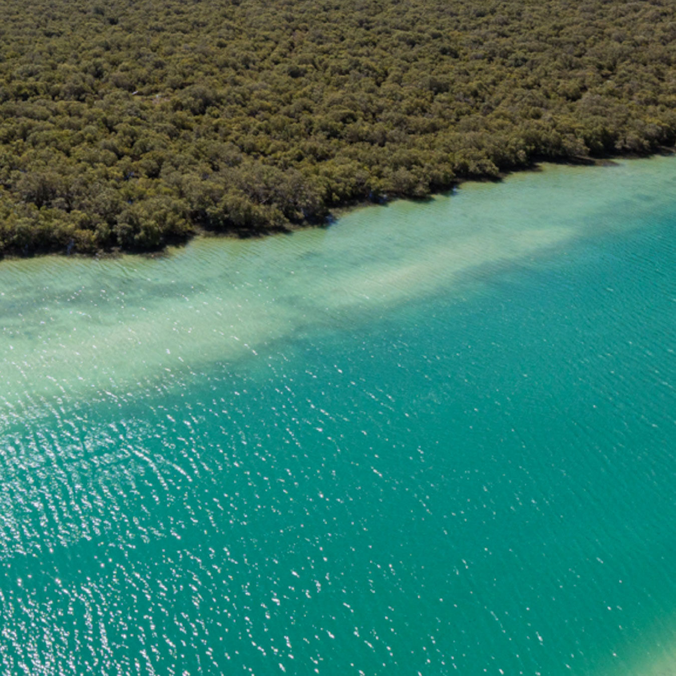 Environment Agency – Abu Dhabi partners with ADNOC to enhance environmental coastal conservation across the emirate