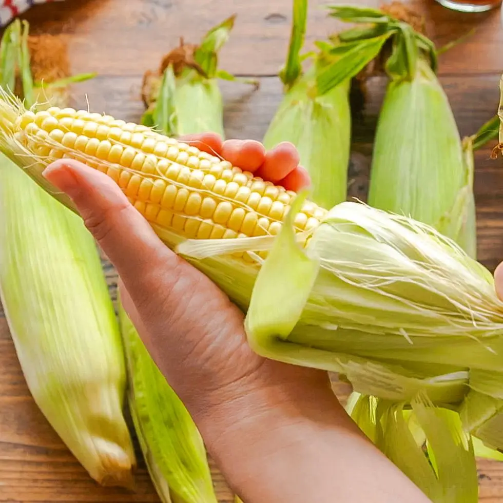 a hand holding a bunch of vegetables