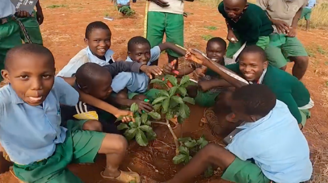 Schools in Kitui County become citadels of environmental conservation