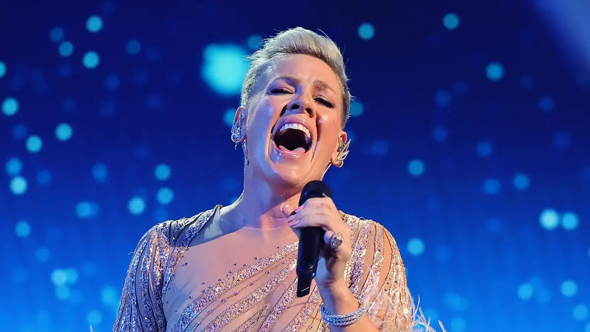 Singer Pink wears sparkling dress while singing on stage.