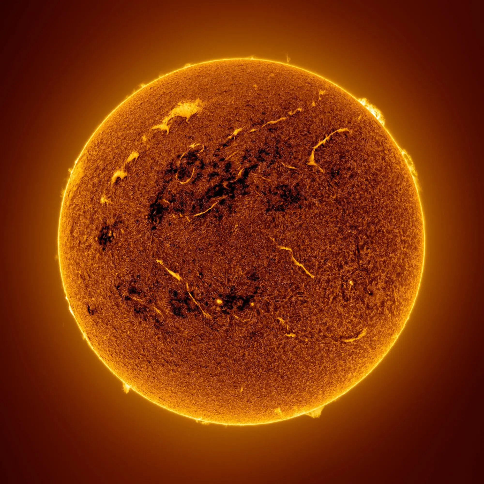 This image shows the details of the Sun’s surface.