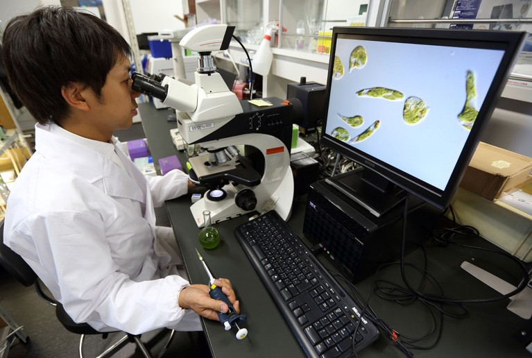 Japan’s scientists demand more money for basic science