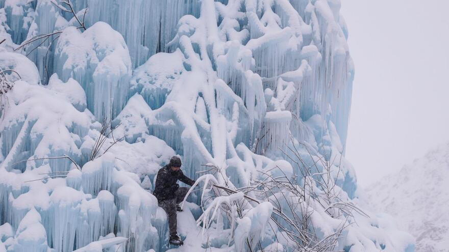 Embark on a Journey to See How Science and Nature Define our Future