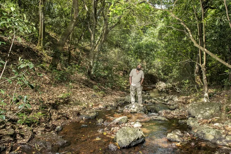 During a field visit near a stream, ethnobotanist Ganesh Babu identifies the native species that can be propagated for urban landscaping.